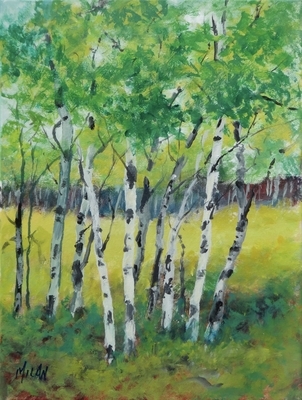 In the Shade