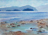 trincomali series 4