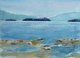 Trincomali series#6